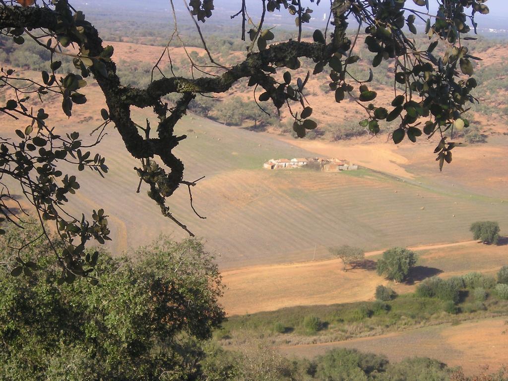 Apartamentos Bau-Doce Cercal do Alentejo الغرفة الصورة