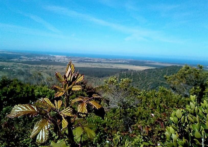 Apartamentos Bau-Doce Cercal do Alentejo المظهر الخارجي الصورة